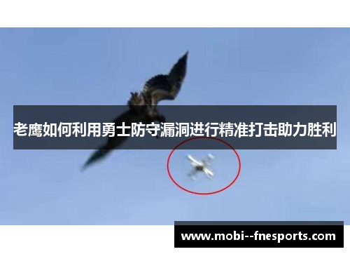 老鹰如何利用勇士防守漏洞进行精准打击助力胜利