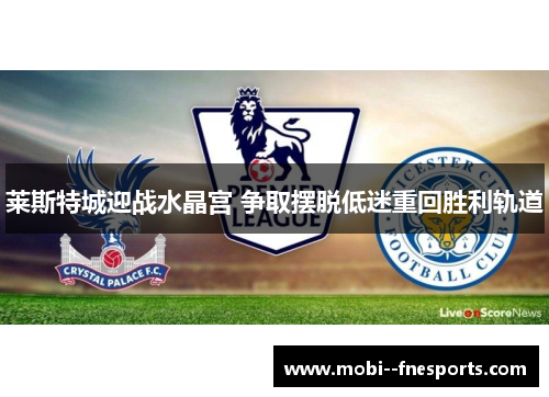 莱斯特城迎战水晶宫 争取摆脱低迷重回胜利轨道
