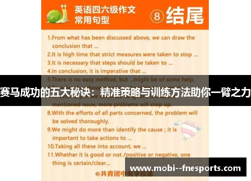 赛马成功的五大秘诀：精准策略与训练方法助你一臂之力